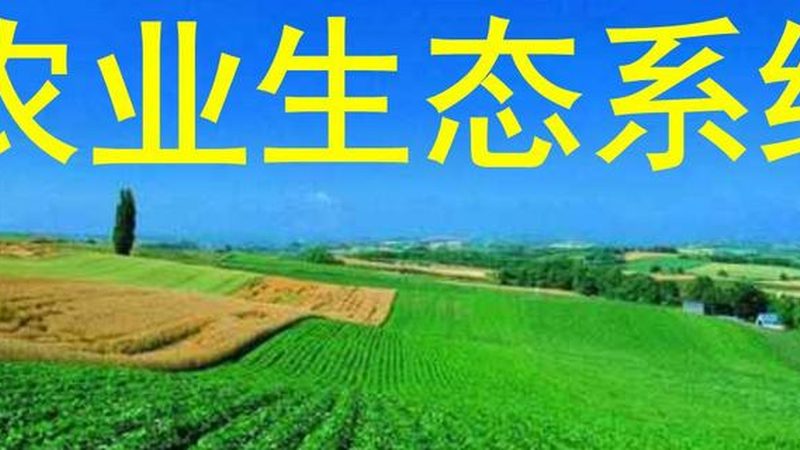有机种植大棚：规格参数揭秘，助力绿色农业发展**