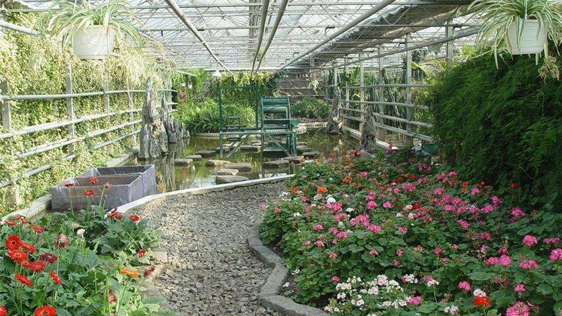粮食种子规格型号：揭秘种植者的“种子密码