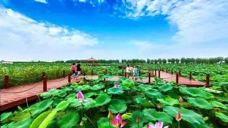 农民专业合作社注册，2025年新流程解析