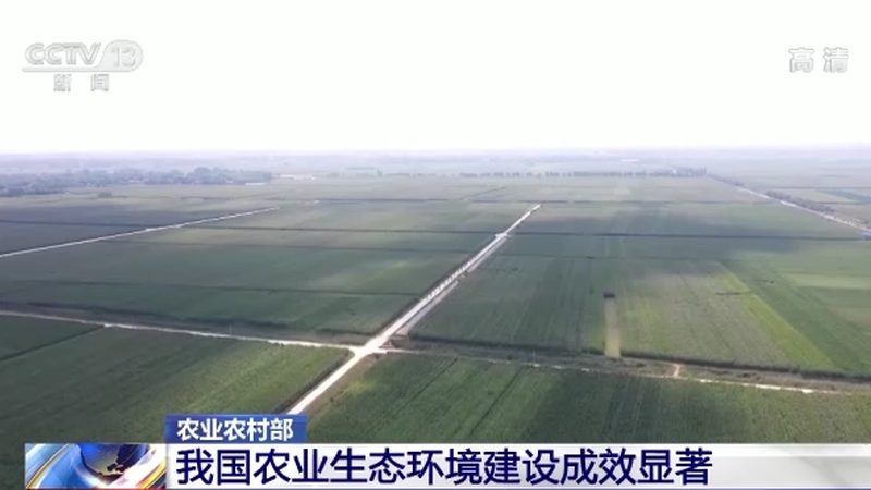 阳光玫瑰葡萄：种植背后的利润密码