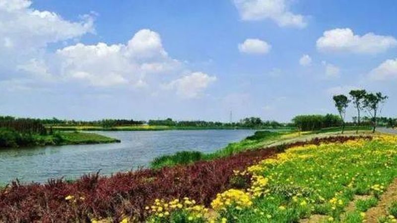 农业种植技术加盟代理，后续支持的关键要素**