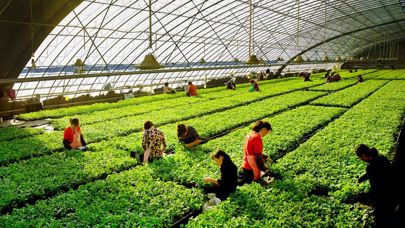 生鲜配送中心投资多少钱？揭秘投资成本构成与优化策略