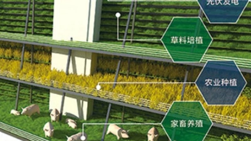 农业产业园运营：规避误区，打造高效生态圈**