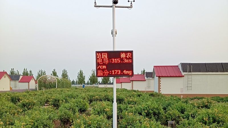 蔬菜配送报价清单：揭秘其包含的五大关键项目