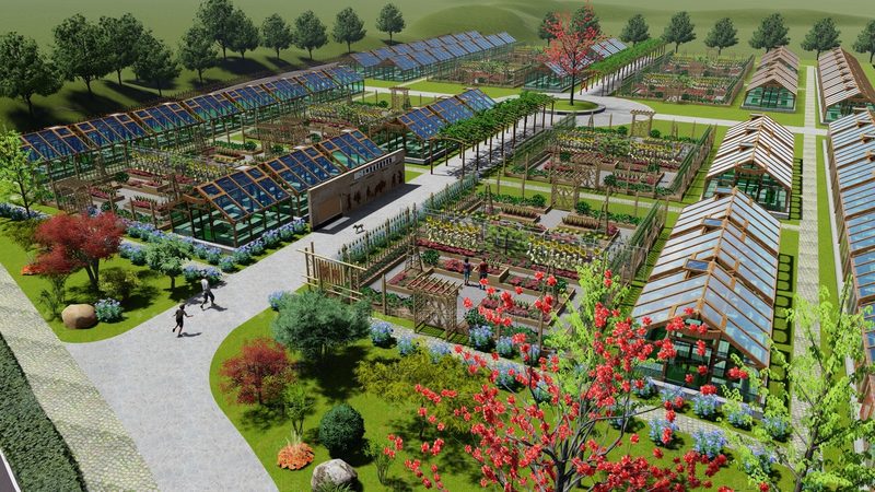 粮食种植定制方案：标准与实施要点