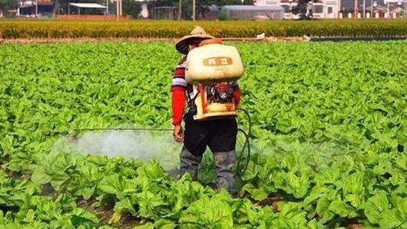 GB 2763：食品农药最大残留限量